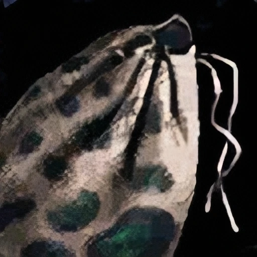 Pouch of Black Pigment