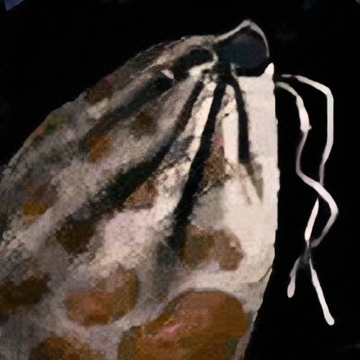 Pouch of Brown Pigment