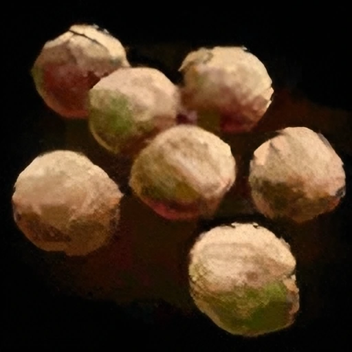 Chickpea