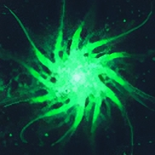 Masterwork Rift Essence