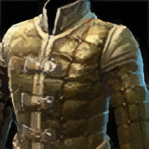 Vital Studded Coat icon