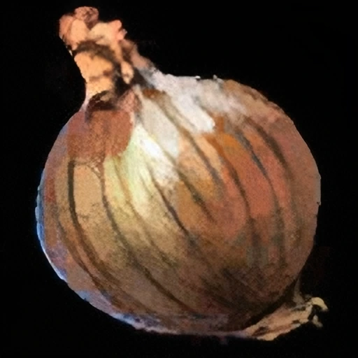 Onion