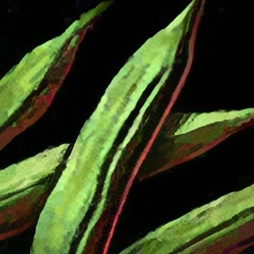 Green Bean