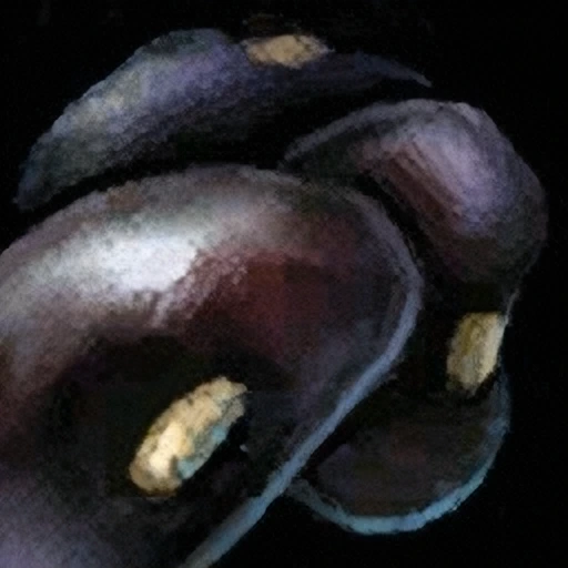 Black Bean