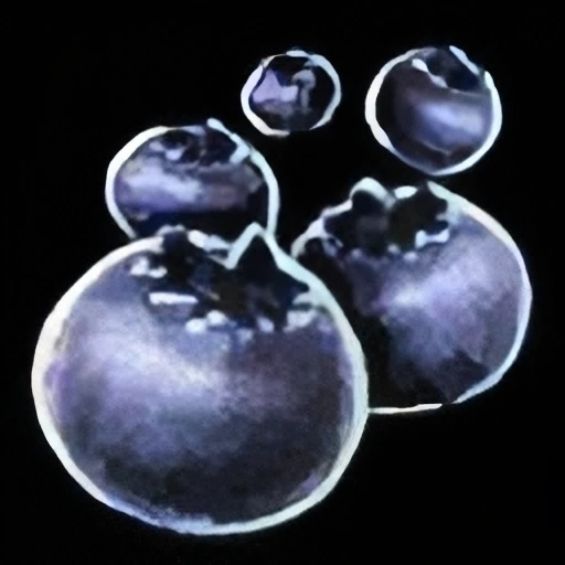 Blueberry