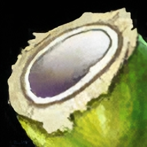 Coconut