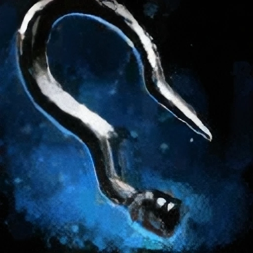 Silver Hook
