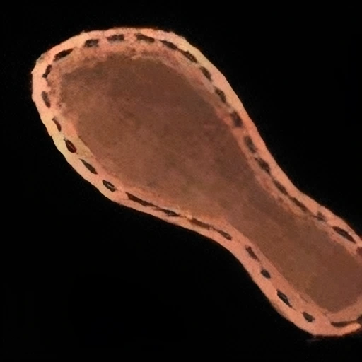 Cotton Shoe Sole icon