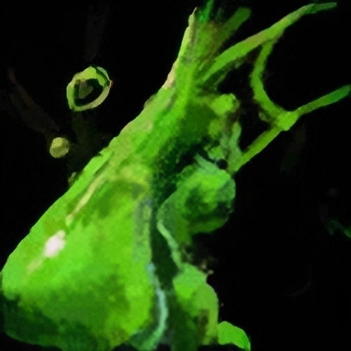 Small Venom Sac