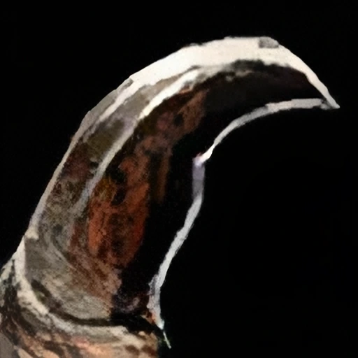 Sharp Claw